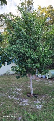 4026 SW Haycroft Street, Port St. Lucie, Port St Lucie, FL 34953