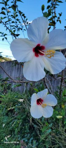 4026 SW Haycroft Street, Port St. Lucie, Port St Lucie, FL 34953