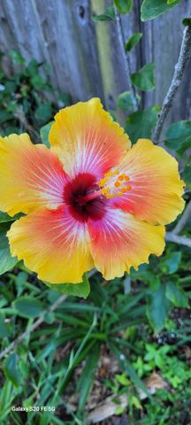 4026 SW Haycroft Street, Port St. Lucie, Port St Lucie, FL 34953