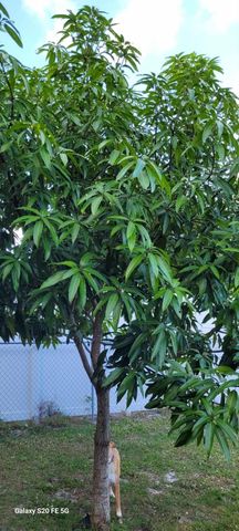 4026 SW Haycroft Street, Port St. Lucie, Port St Lucie, FL 34953