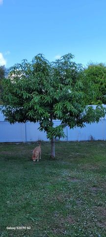 4026 SW Haycroft Street, Port St. Lucie, Port St Lucie, FL 34953