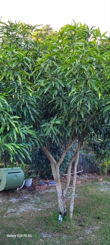 4026 SW Haycroft Street, Port St. Lucie, Port St Lucie, FL 34953