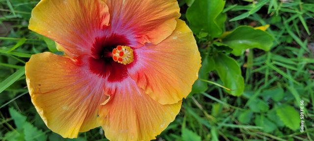 4026 SW Haycroft Street, Port St. Lucie, Port St Lucie, FL 34953