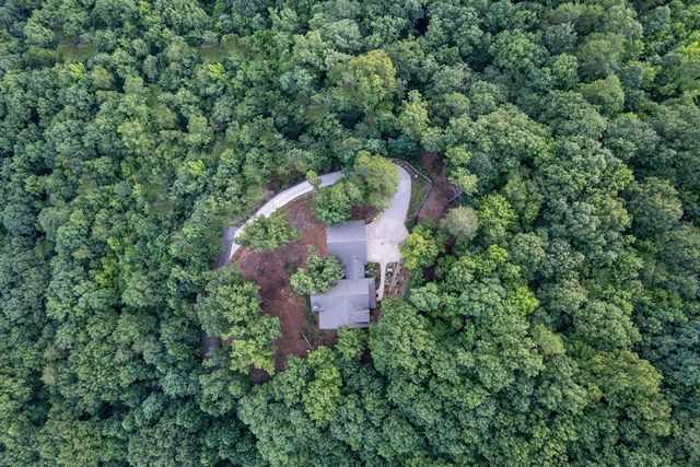 280 Pointe Of View, Blue Ridge, GA 30513