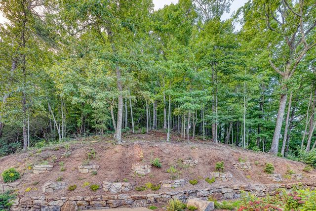 280 Pointe Of View, Blue Ridge, GA 30513