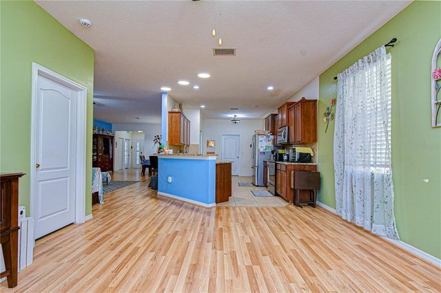 6252 TWIN BRIDGES DRIVE, Zephyrhills, FL 33541