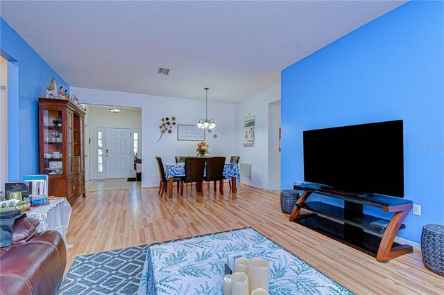 6252 TWIN BRIDGES DRIVE, Zephyrhills, FL 33541