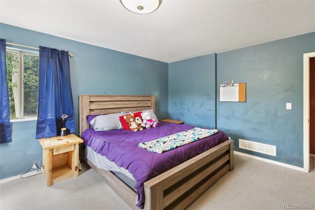 50 Worley Road, Divide, CO 80814