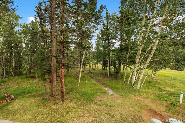 50 Worley Road, Divide, CO 80814