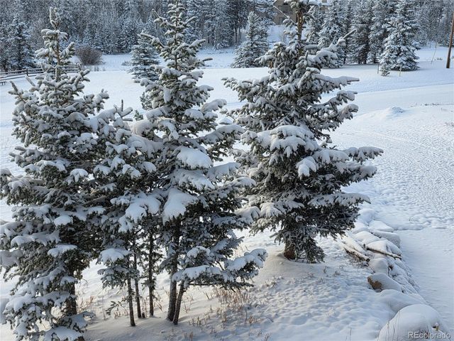 50 Worley Road, Divide, CO 80814