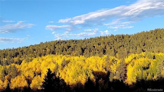 50 Worley Road, Divide, CO 80814