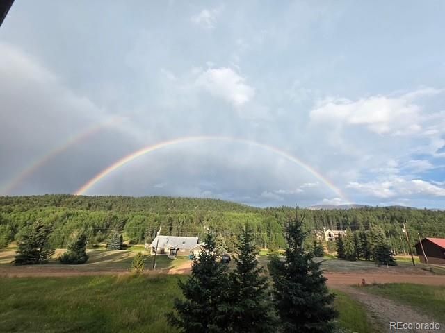 50 Worley Road, Divide, CO 80814