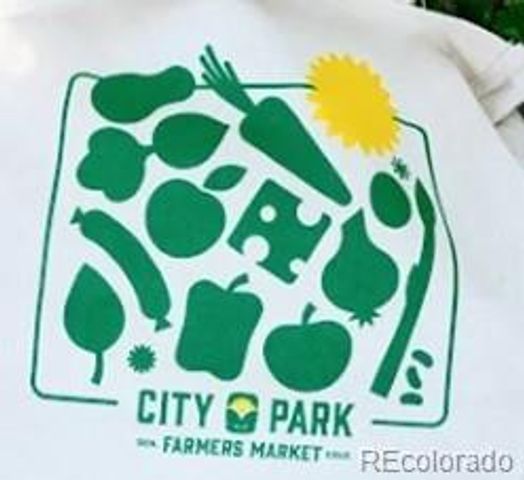 1318 N Marion Street, Denver, CO 80218