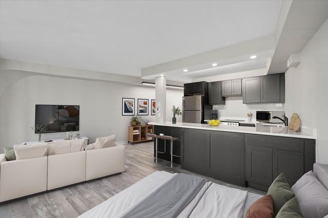 300 N State Street 5225, Chicago, IL 60654