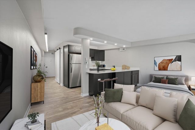 300 N State Street 5225, Chicago, IL 60654