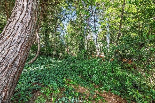 768 Deer, Crestline, CA 92325