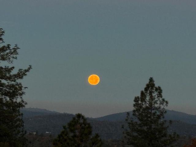 15324-15322 Gamble Ct, Rough And Ready, CA 95975