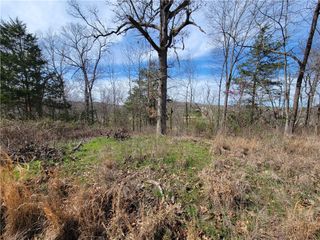 Lot 19 Scalloway Drive, Bella Vista, AR 72715