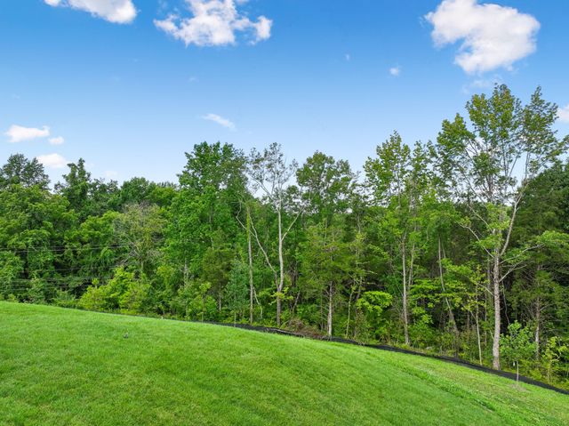 217 Ash Dale Dr, Mount Juliet, TN 37122