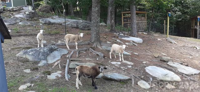 159 Volley Road, Ellenboro, NC 28040
