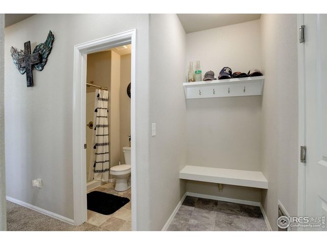 1318 Chamois Dr, Severance, CO 80550