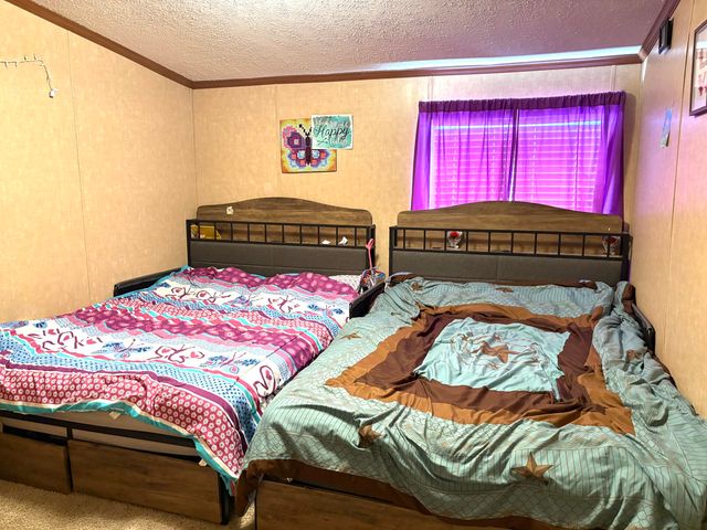 1515 SE County Rd 531, Brownfield, TX 79316