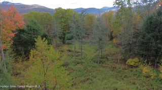 0 North Ridge Extension, Windham, NY 12496