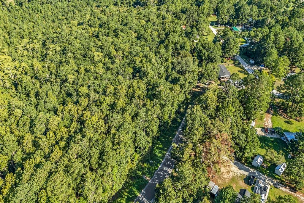 TBD Lyons Ln., Longs, SC 29568 — photo 3