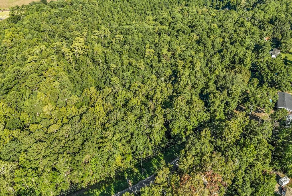 TBD Lyons Ln., Longs, SC 29568 — photo 4