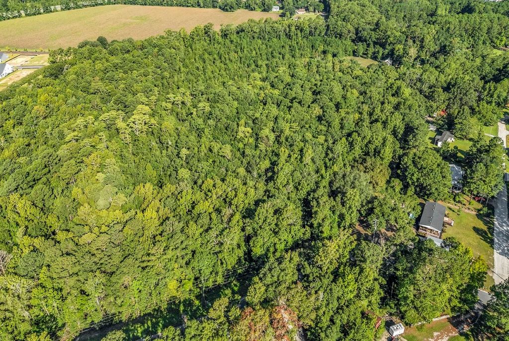 TBD Lyons Ln., Longs, SC 29568 — photo 5