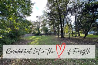 311 South Hickory Street, Forsyth, MO 65653