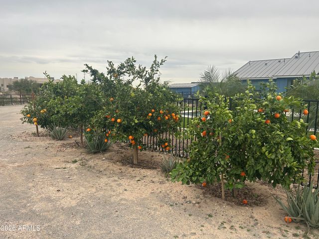 11224 W TETHER Trail W, Peoria, AZ 85383