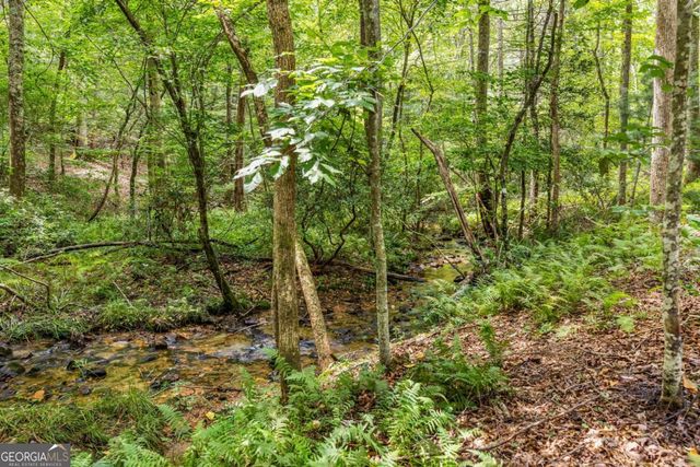 208 Autumn Lane, Blairsville, GA 30512