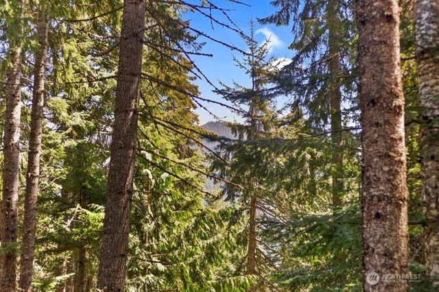 220 Mountain Home Lane, Easton, WA 98925