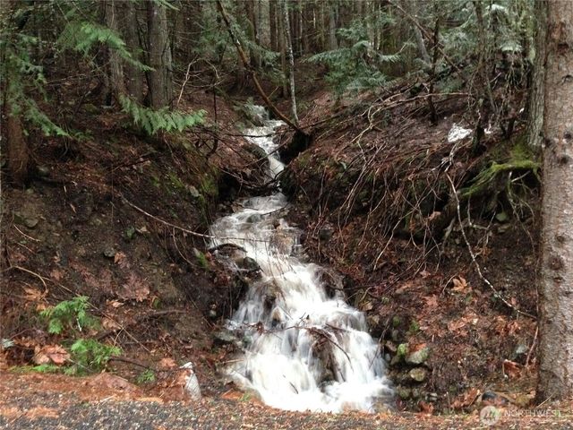 220 Mountain Home Lane, Easton, WA 98925