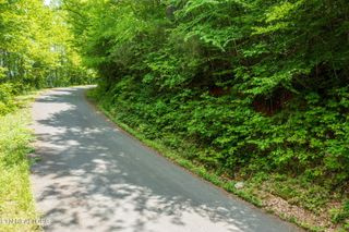 Running Bear Road, Cosby, TN 37722