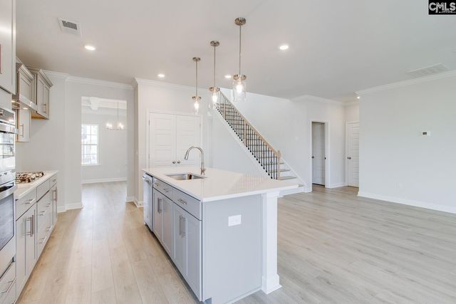 250 Horse Farm Place, Lexington, SC 29072