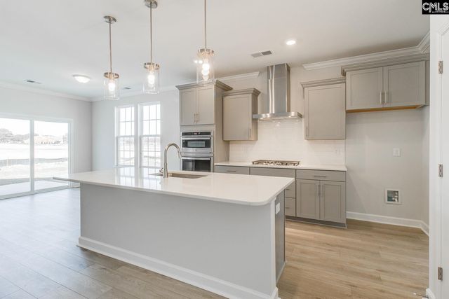 250 Horse Farm Place, Lexington, SC 29072