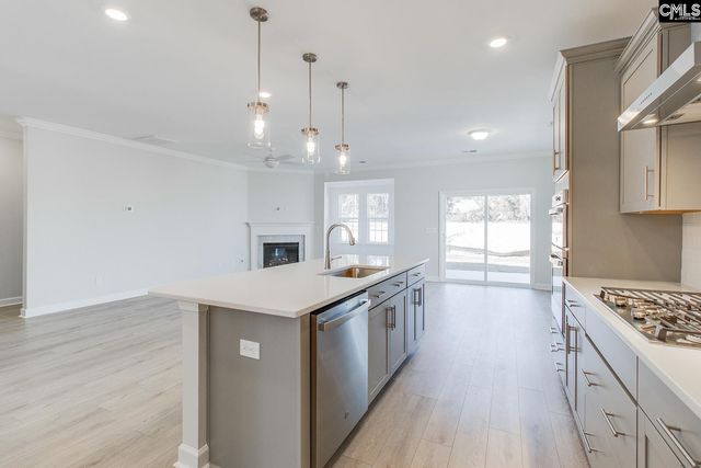 250 Horse Farm Place, Lexington, SC 29072