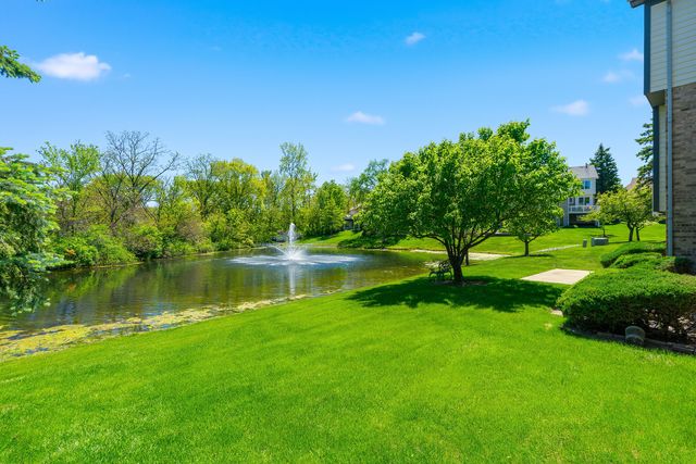 14337 S Provencal Drive, Homer Glen, IL 60491