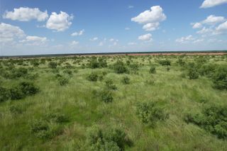 Tract 15 TBD Cr 495, Hawley, TX 79525