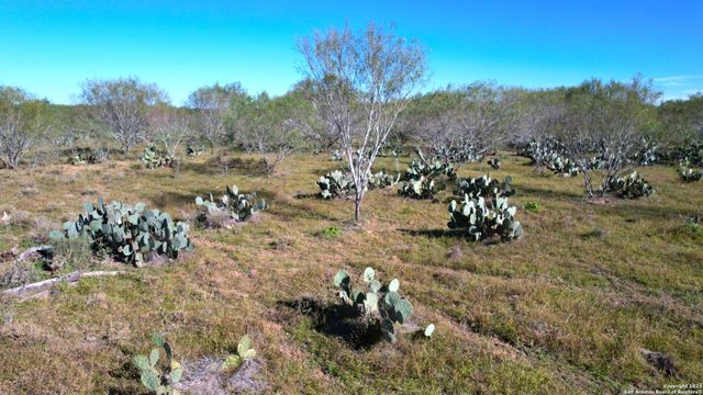 1913 County Road 3000, Pearsall, TX 78061