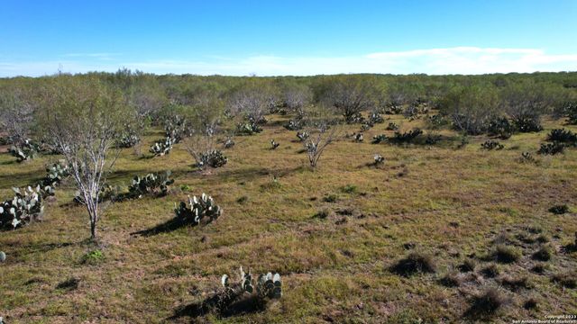 1913 County Road 3000, Pearsall, TX 78061