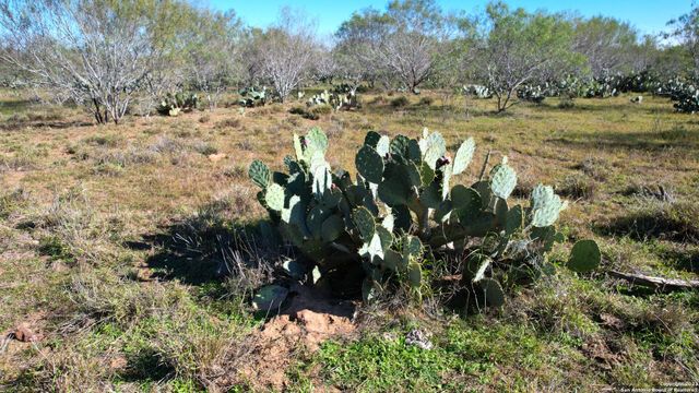 1913 County Road 3000, Pearsall, TX 78061