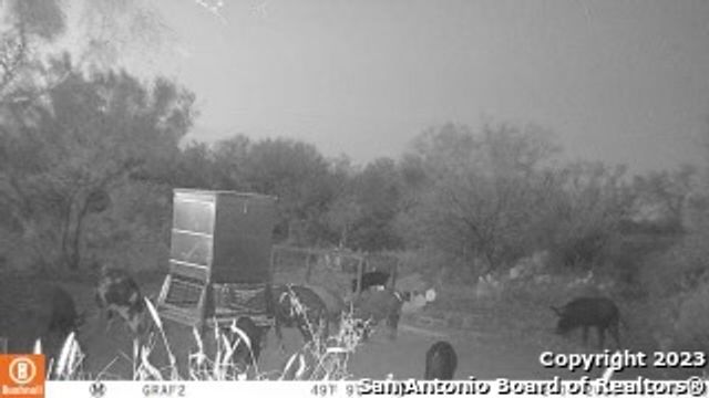 1913 County Road 3000, Pearsall, TX 78061