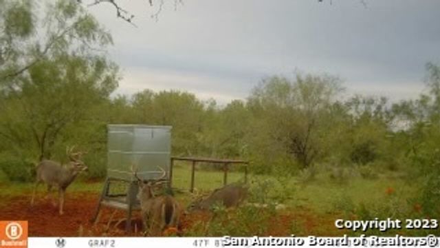 1913 County Road 3000, Pearsall, TX 78061