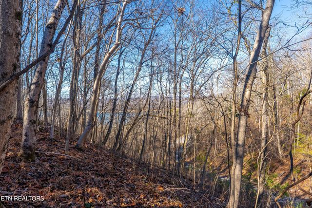 919 Sparrow Way, Sharps Chapel, TN 37866