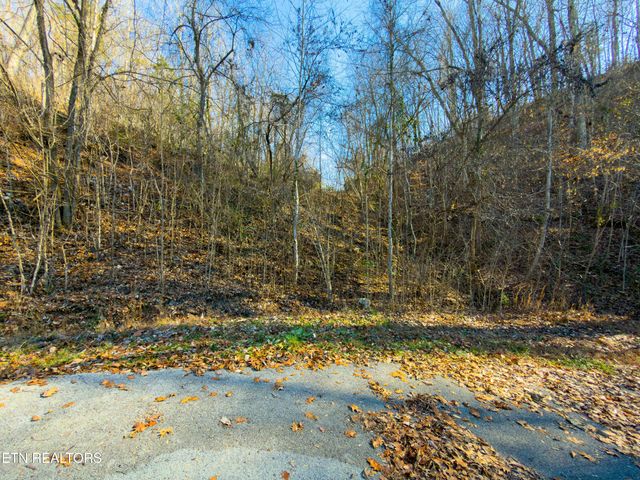 919 Sparrow Way, Sharps Chapel, TN 37866