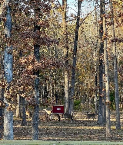 545 County Road 42540, Paris, TX 75462