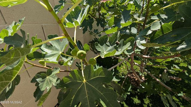 21511 E Prospector Place, Red Rock, AZ 85145